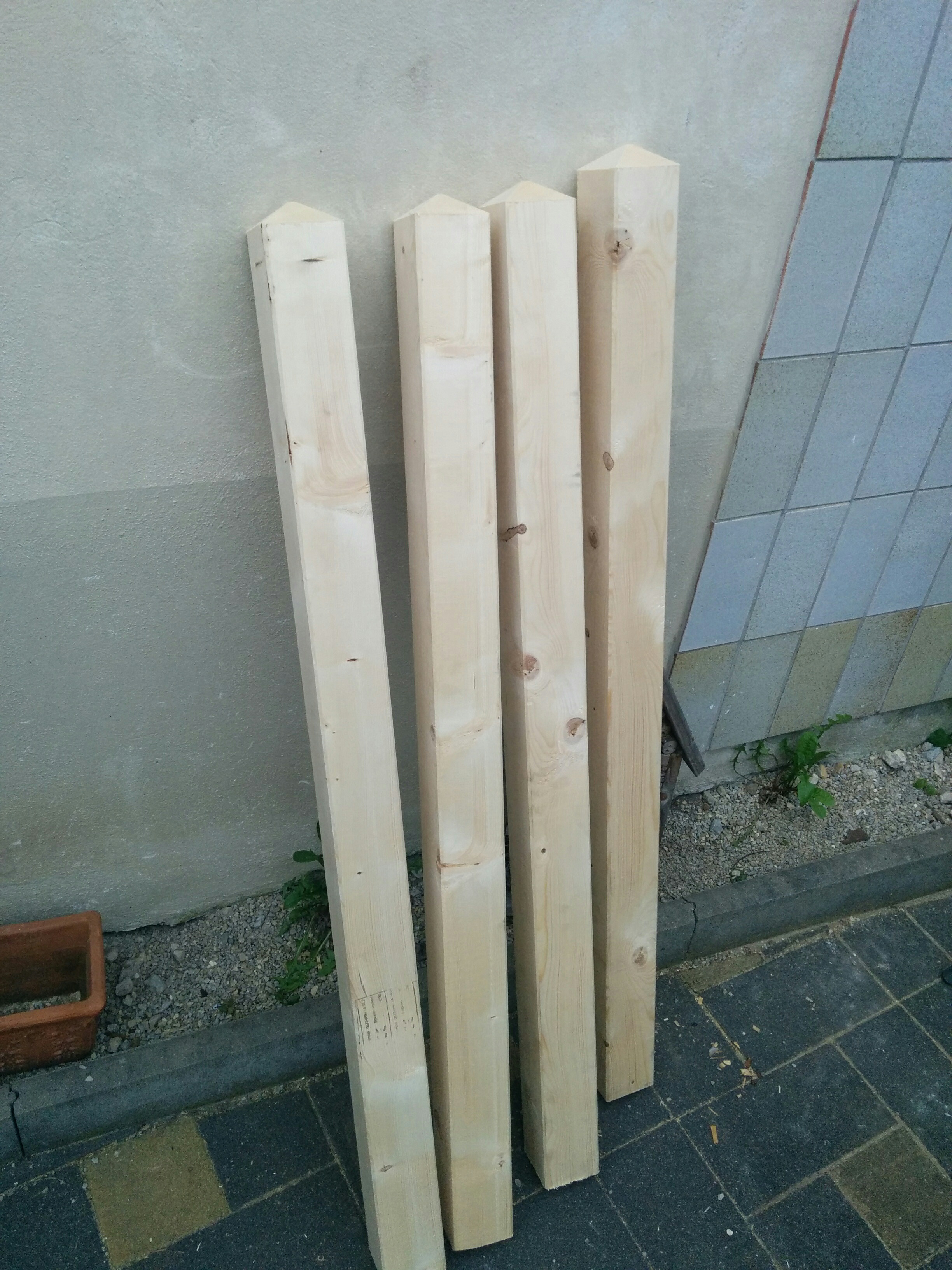 20160511 Gartenzaun 008